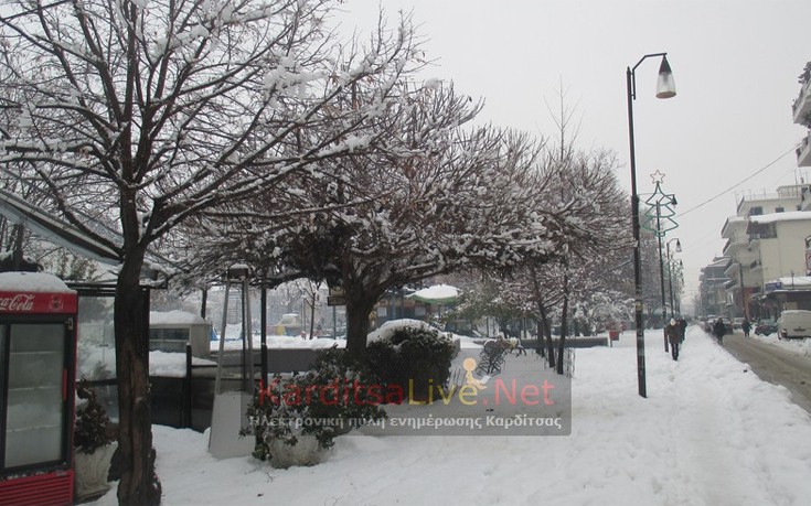 karditsa10 karditsa10