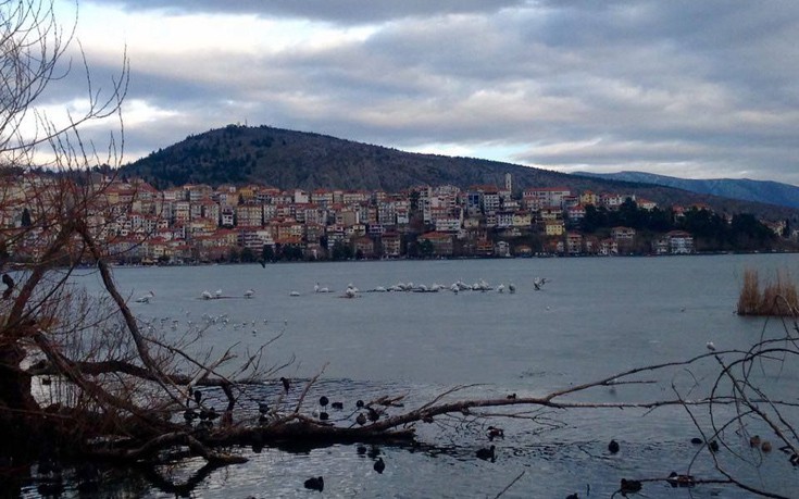 kastoria4