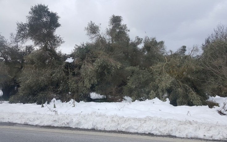 krhtutuis2 krhtutuis2