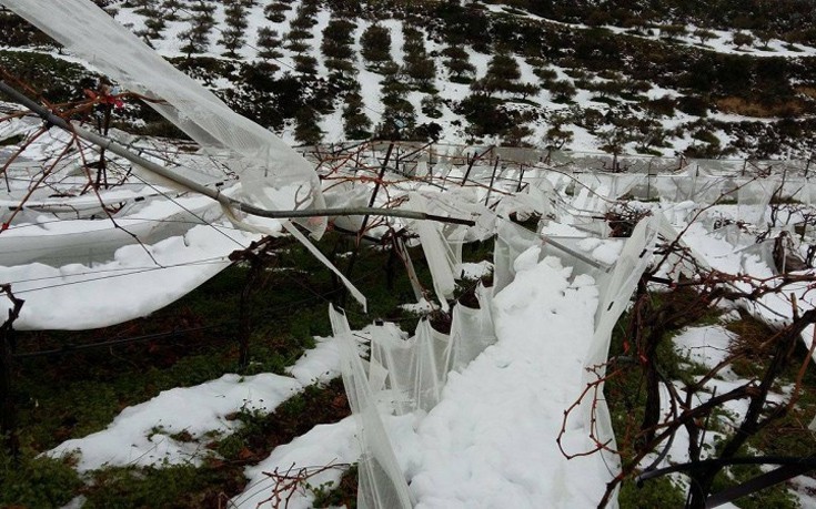 krhtutuis4 krhtutuis4