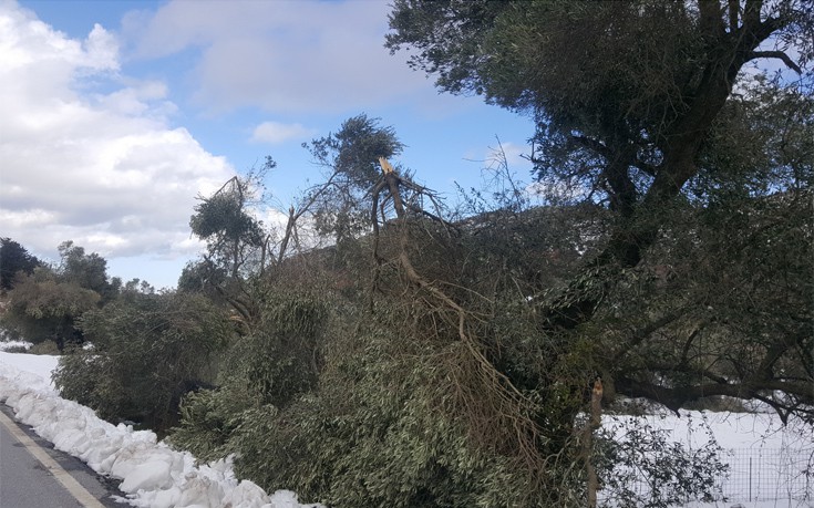 krhtutuis5 krhtutuis5