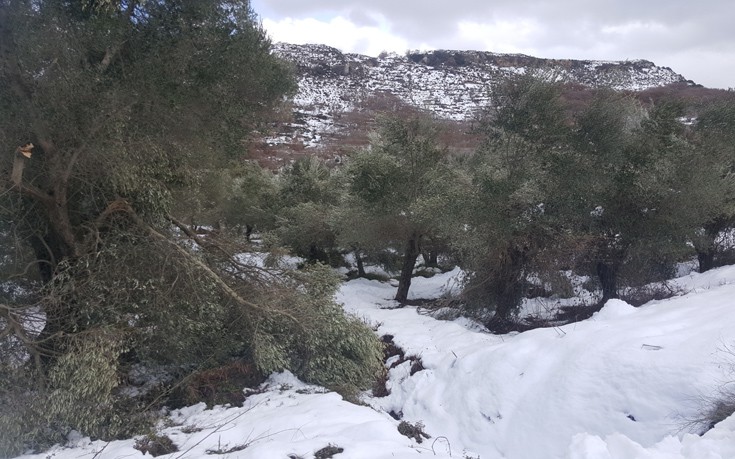 krhtutuis6 krhtutuis6