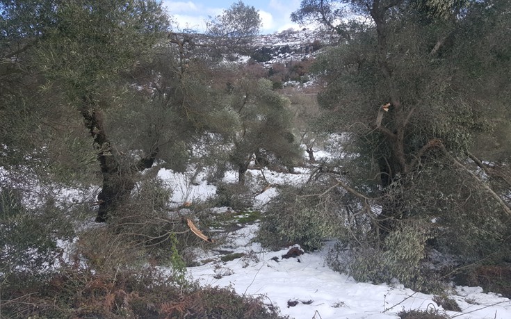 krhtutuis7 krhtutuis7