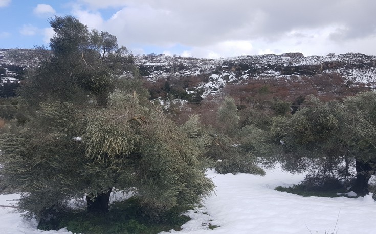 krhtutuis8 krhtutuis8