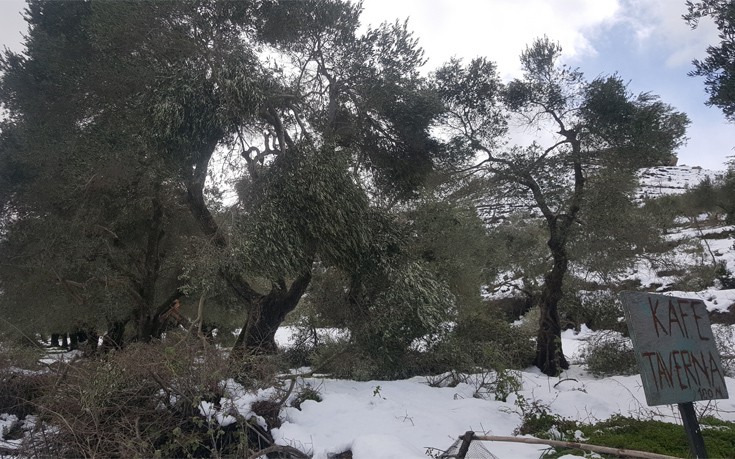 krhtutuis9 krhtutuis9