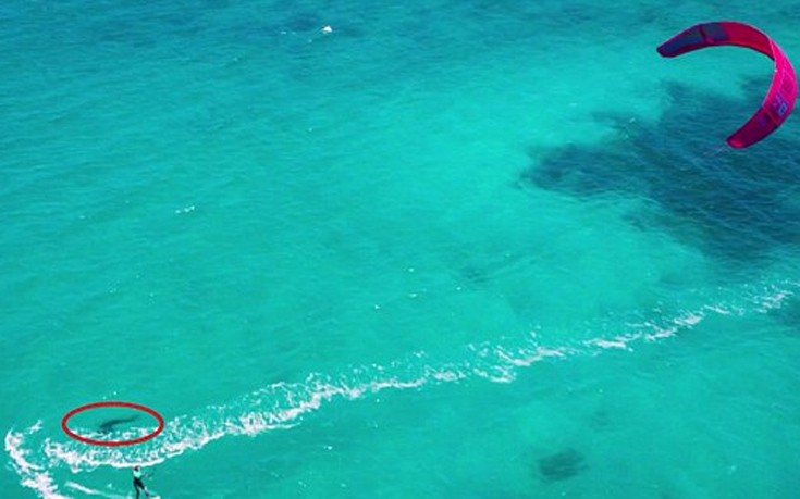 Κάνοντας kitesurfing με έναν μεγάλο λευκό καρχαρία