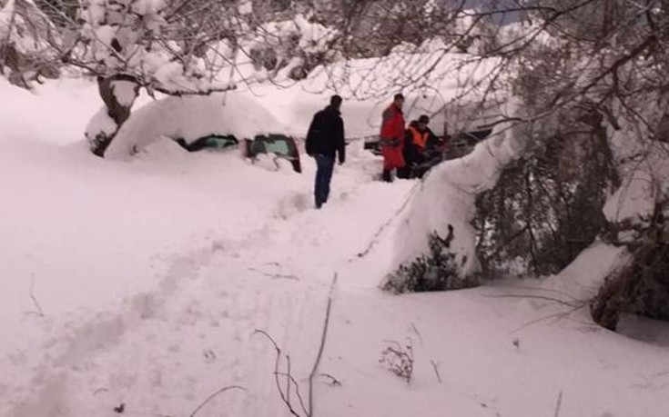 kumadmakfl1 kumadmakfl1