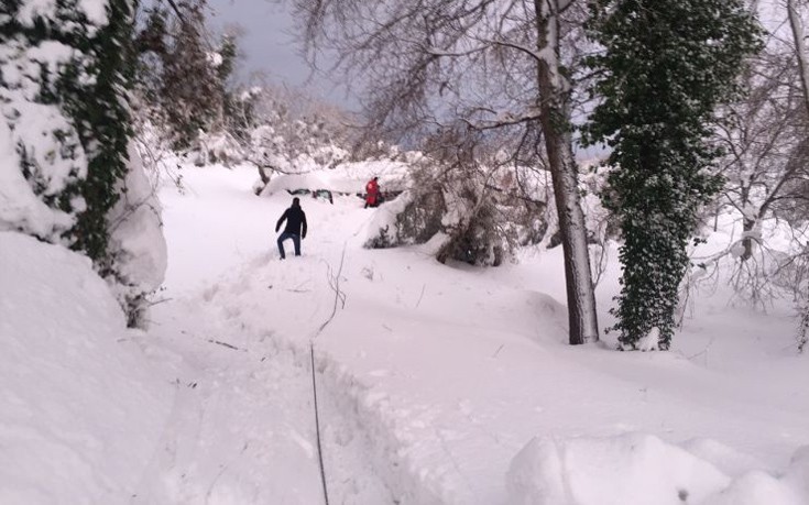 kumadmakfl4 kumadmakfl4