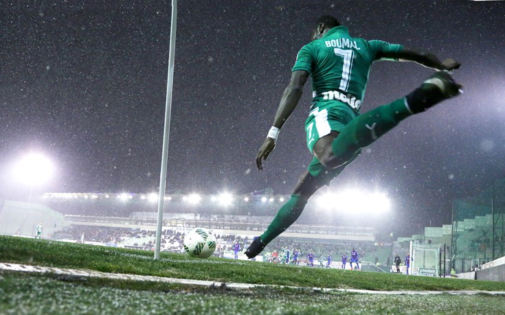 panthxion1 panthxion1