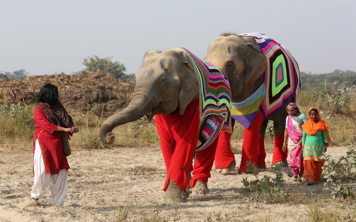 Γιγάντιες πιτζάμες για ελέφαντες στην Ινδία