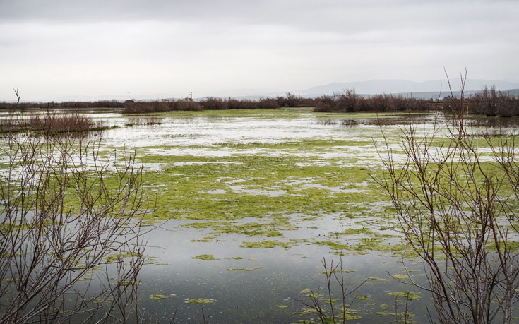 Σε επιφυλακή στο νομό Έβρου για τους «φουσκωμένους» ποταμούς