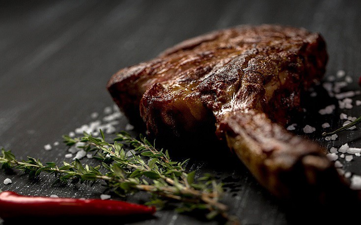 xalrothessn2 xalrothessn2