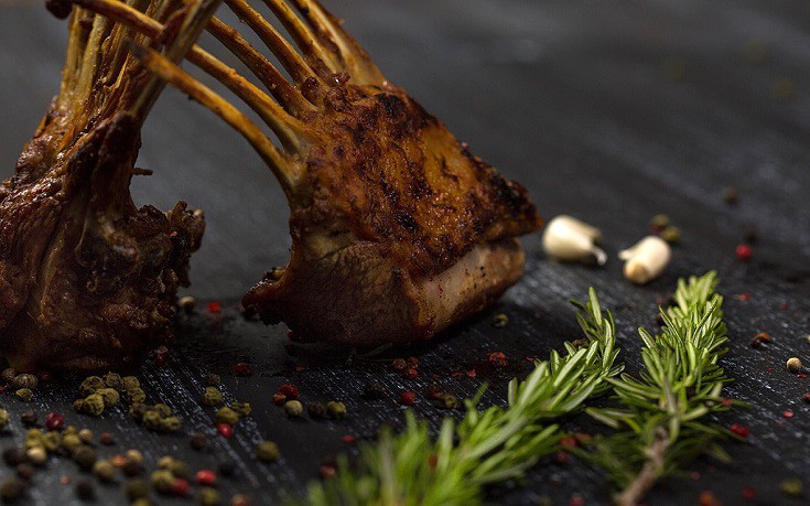 xalrothessn4 xalrothessn4