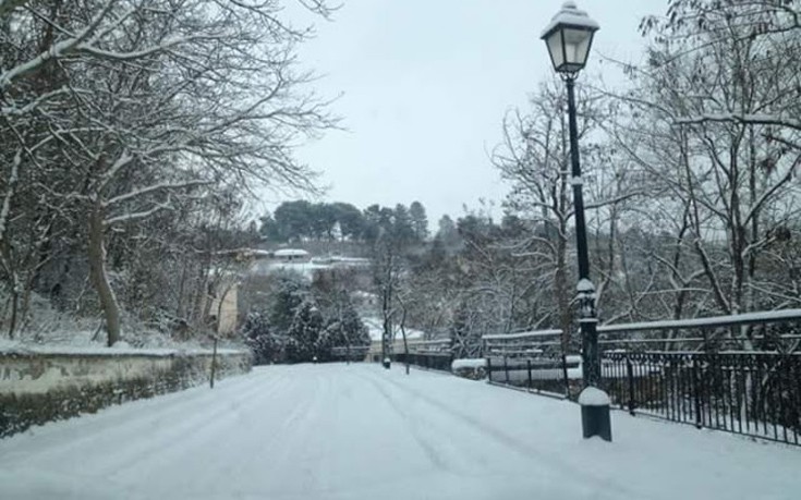 xankaxiaon1 xankaxiaon1