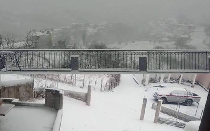 xankaxiaon2 xankaxiaon2