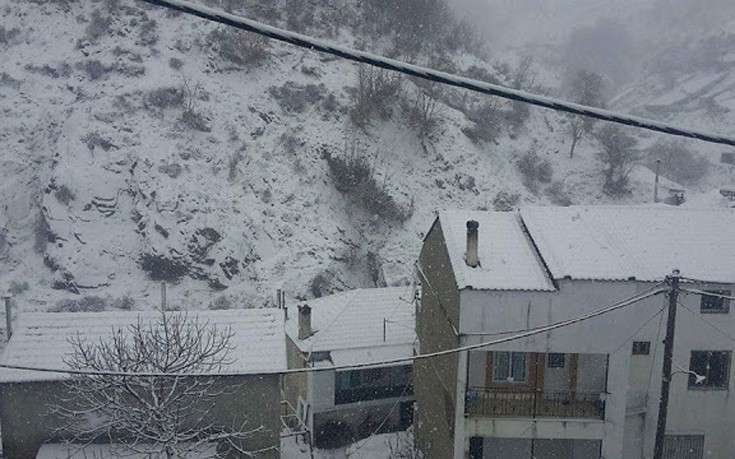 xankaxiaon4 xankaxiaon4