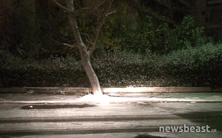 xioniattik3 xioniattik3