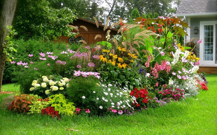 Οικολογική φροντίδα των φυτών από τον Ανδρέα Μπαρμπούτση