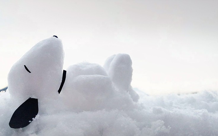 Στην Ιαπωνία ακόμη και οι χιονάνθρωποι είναι περίεργοι