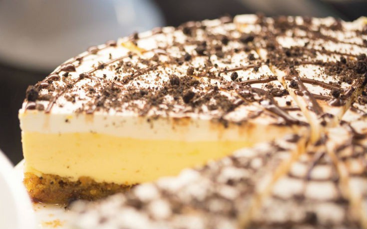 zymari_5_edited zymari_5_edited