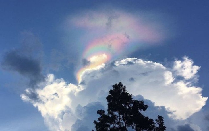 Singapore1 Singapore1