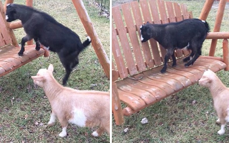 akrasdnab2 akrasdnab2