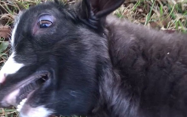 akrasdnab3 akrasdnab3