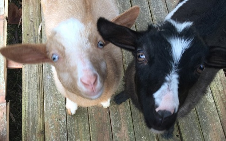 akrasdnab4 akrasdnab4