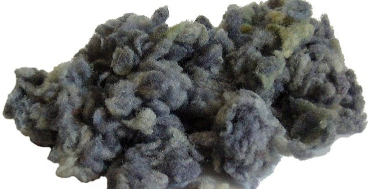 bbllflgofgsfnngrtr2 bbllflgofgsfnngrtr2