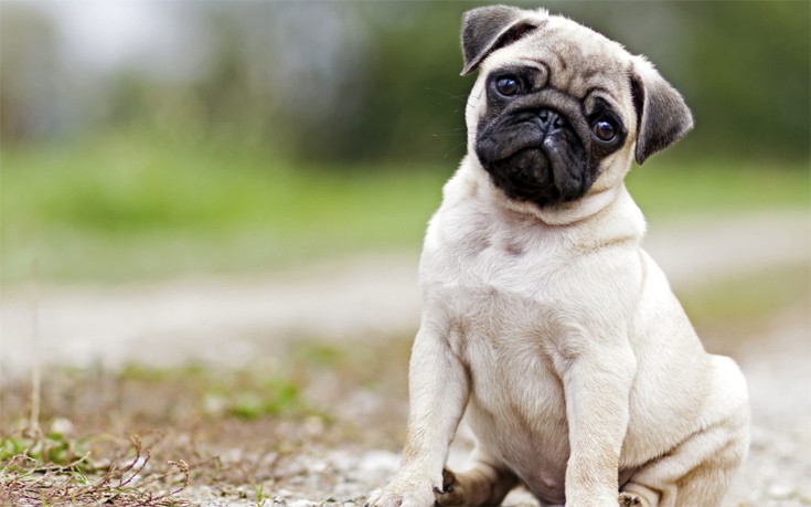 dddoogammannosnwwe3 dddoogammannosnwwe3