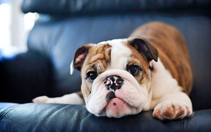 dddoogammannosnwwe4 dddoogammannosnwwe4