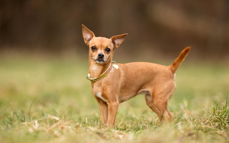 dddoogammannosnwwe6 dddoogammannosnwwe6