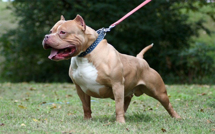 dddoogammannosnwwe7 dddoogammannosnwwe7