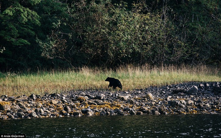 diydadra10 diydadra10