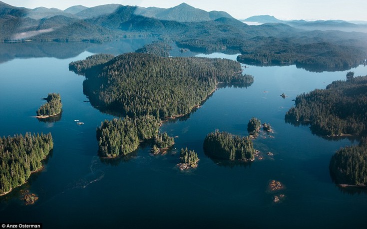 diydadra11 diydadra11