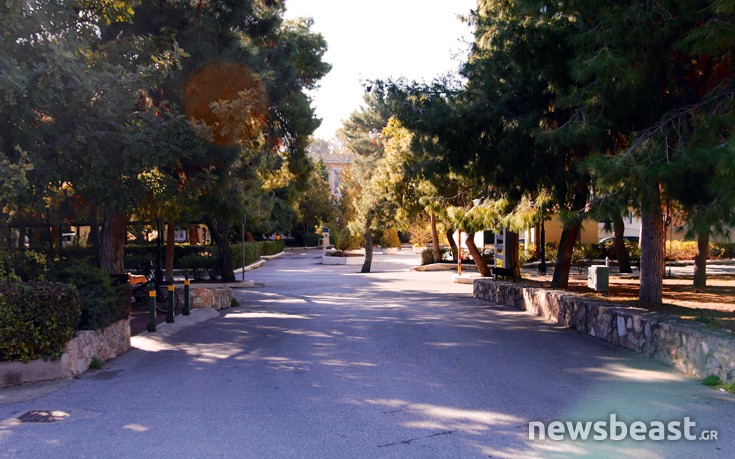 domokraitio17 domokraitio17