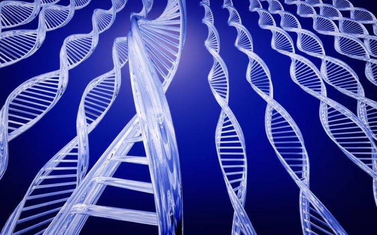 Ο αριθμός των ανθρώπινων γονιδίων είναι ακόμη σε διαβούλευση