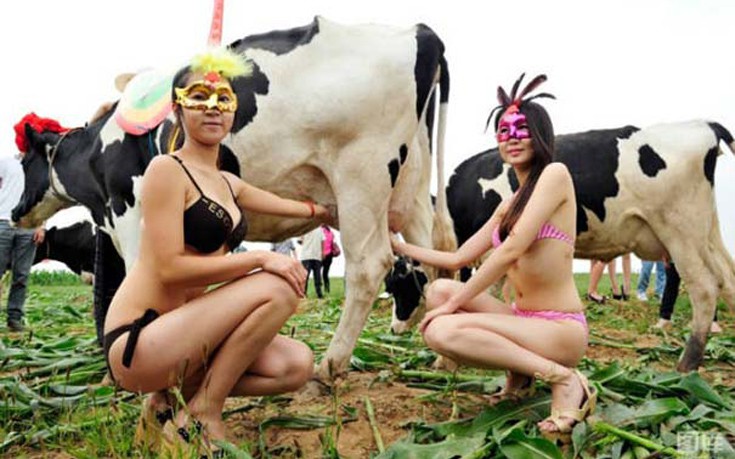 Καταστάσεις made in China