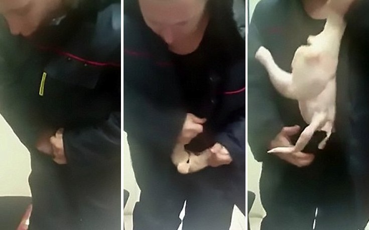 Ο άντρας που έδωσε στον όρο κλεφτοκοτάς άλλη διάσταση