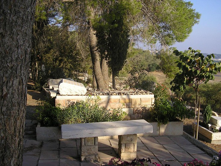 mmoseseedaggyyann18 mmoseseedaggyyann18