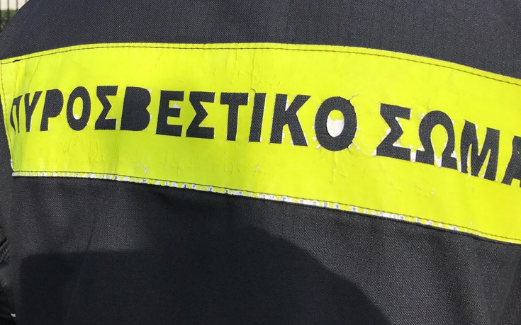 Πυροσβέστες διέσωσαν σκύλο από φλεγόμενο διαμέρισμα