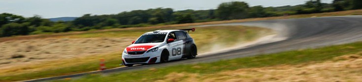 protpeugt2 protpeugt2