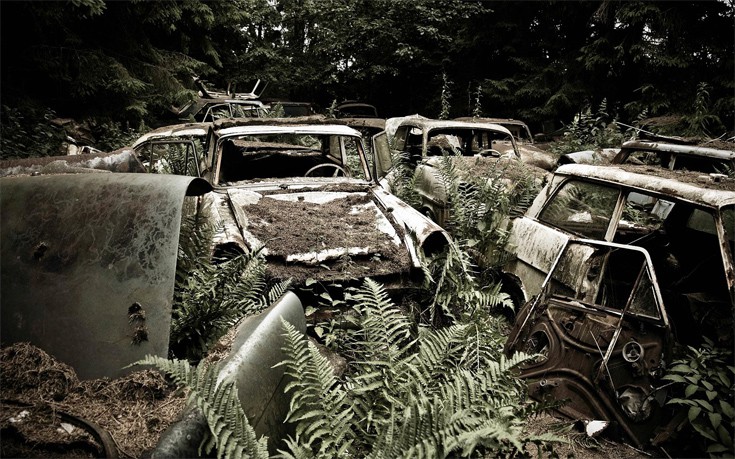 prrdgnerk11 prrdgnerk11