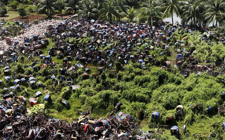 prrdgnerk6 prrdgnerk6