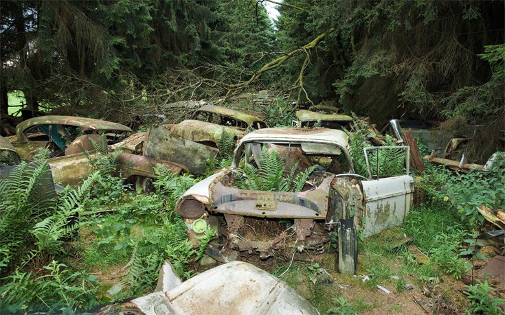 prrdgnerk9 prrdgnerk9