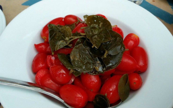 psariston_4_edited psariston_4_edited