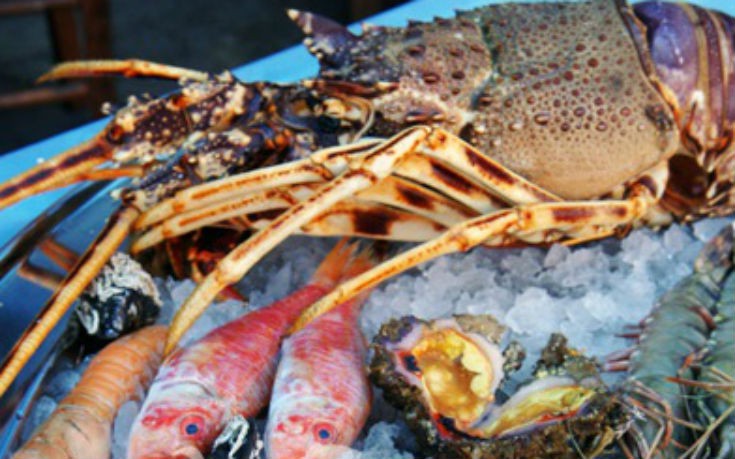 psariston_6_edited psariston_6_edited