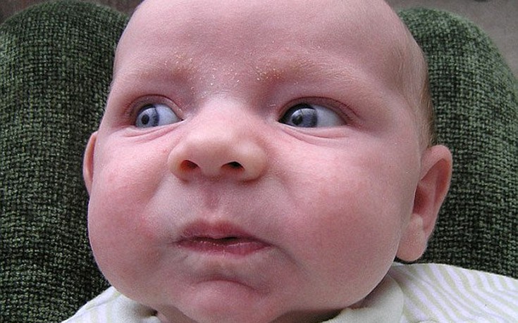 ptthkmet12 ptthkmet12