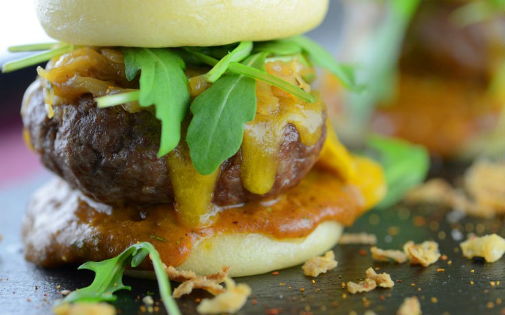 rakkan_1_edited rakkan_1_edited