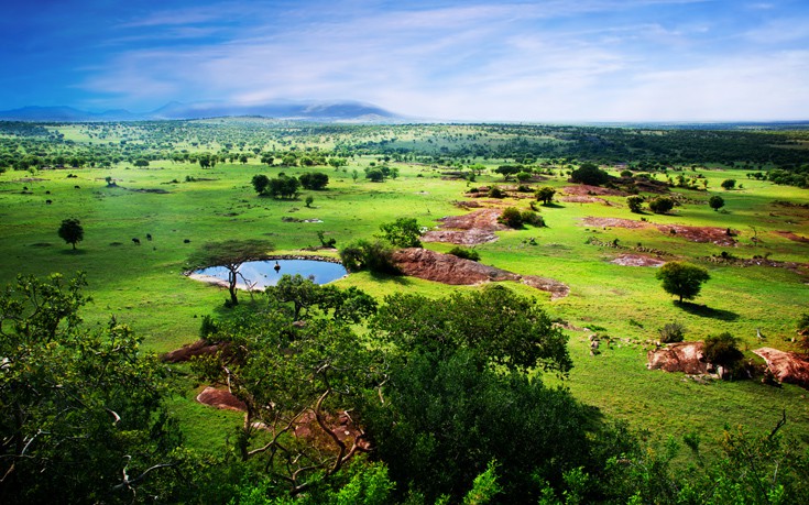 ΤΑΝΖΑΝΙΑ ΤΑΝΖΑΝΙΑ